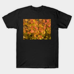 Autumn Colors T-Shirt